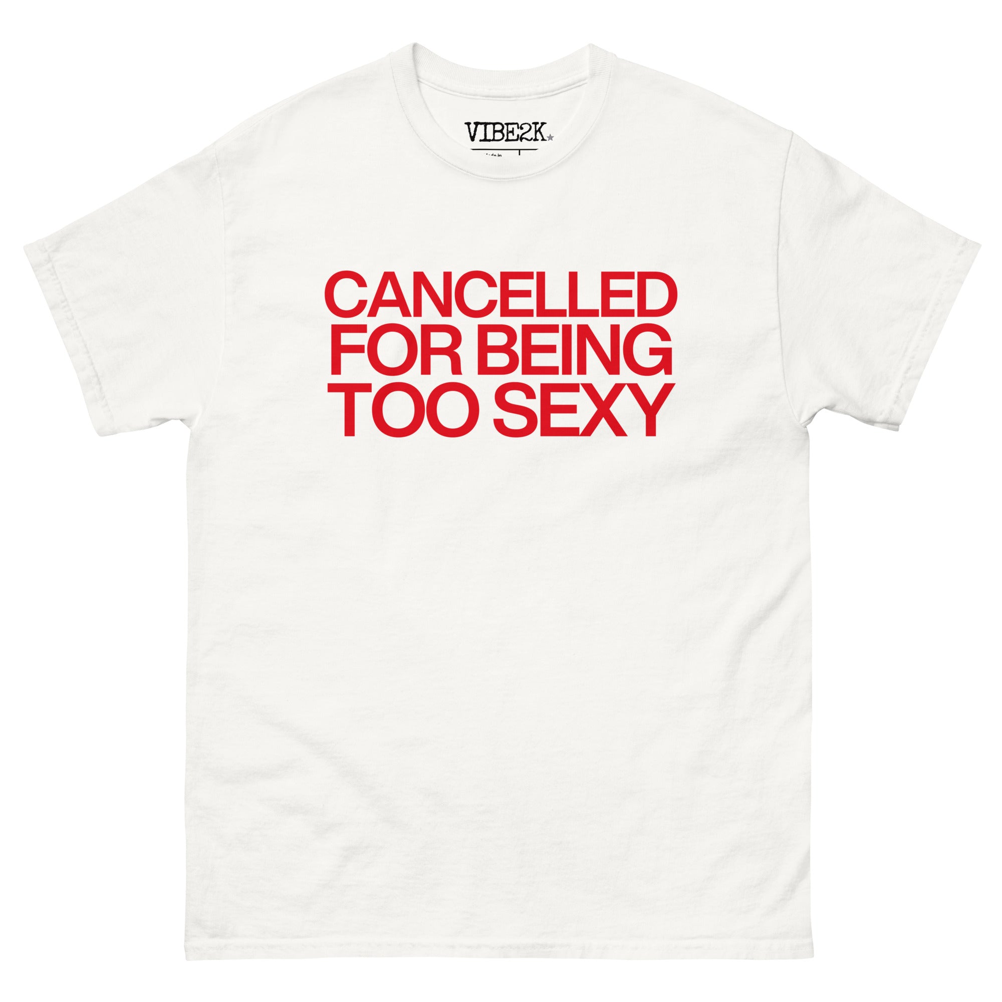 Cancelled For Being Too Sexy Classic Tee
